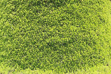 科隆游戏展官宣《影之刃零》参加 首次面向海外玩家的试玩